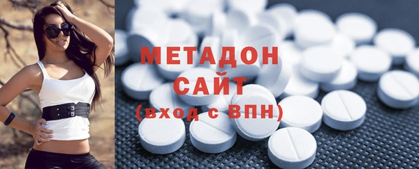 прущие грибы Белокуриха