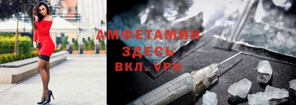 прущие грибы Белокуриха