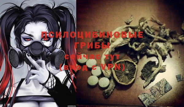 дурь Беломорск