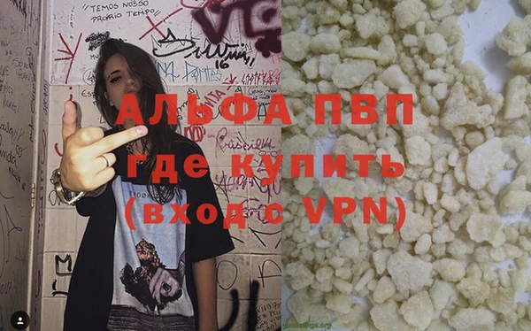 прущие грибы Белокуриха