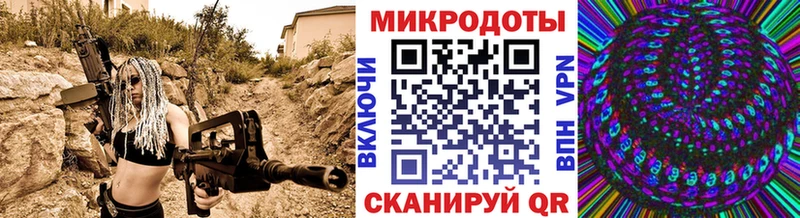 закладка  Шуя  Галлюциногенные грибы GOLDEN TEACHER 